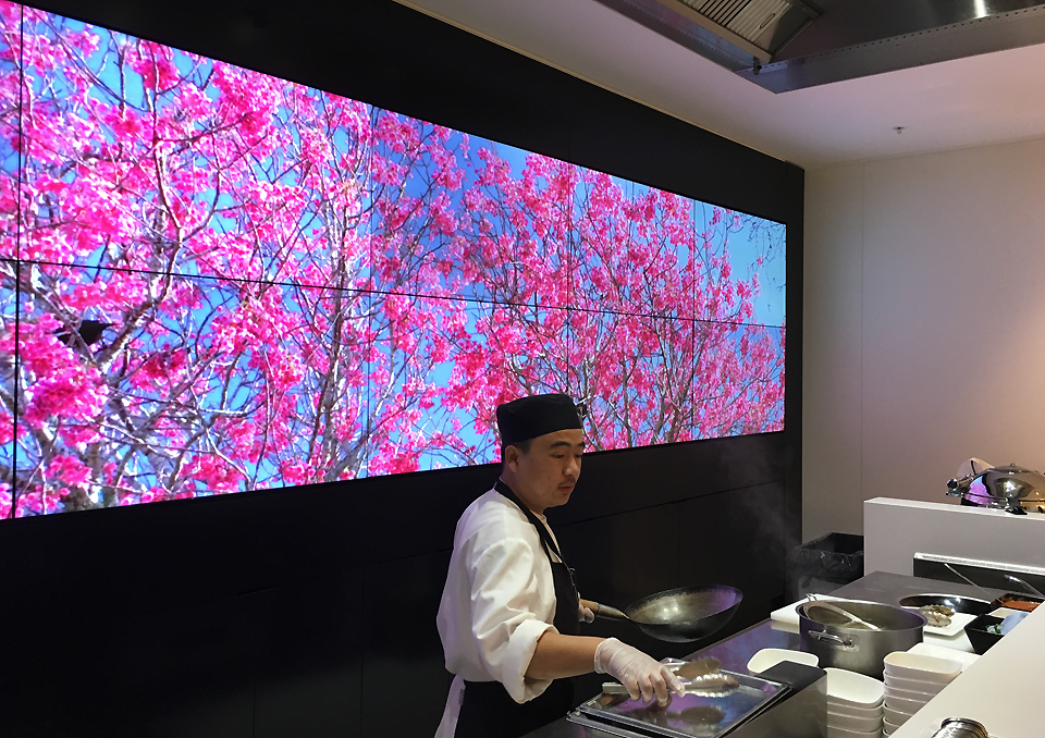 koru-lounge-sydney-fresh-food